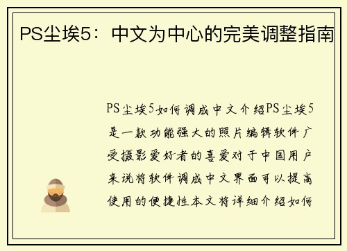 PS尘埃5：中文为中心的完美调整指南